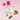 Urban Care Pink Allure Hair Perfume 50ml - Long-Lasting Fragrance with Provitamin B5 Urban Care Pink Allure Hair Perfume - Long-Lasting & Nourishing hair perfume, scented hair care, long-lasting hair fragrance, Provitamin B5 hair care, fragrant hair products, hair fragrance, luxury hair care, nourishing hair perfume, jasmine hair scent, amber hair fragrance, cedar hair perfume, healthy hair products