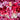 Miss Kay Women's Perfume, Queen of Hearts EDP 25ml - Confident Floral Fragrance for Women Miss Kay Queen of Hearts EDP 25ml - Women's Perfume Women's Perfume, EDP, Miss Kay Queen of Hearts, 25 ml, Fragrance for confident women, Floral perfume, Fresh scent for women, Perfume for young women, Bold fragrance, Playful scent, Feminine perfume, Daily perfume, Portable perfume