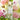 Illusione Fortune EDP Women's Perfume - Luxurious Cosmic Scent, Long-Lasting Fragrance for Women Illusione Fortune EDP Perfume for Women - Luxurious Cosmic Fragrance Women's Perfume, Eau de Parfum, Luxury Fragrance, Cosmic Scent, Long-lasting Perfume, Perfume for Women, Fragrance, Perfumes, Luxury Perfumes, Women's Fragrances, Gift for Her, Fragrance for Women, Illusione Perfume