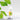 Incia Kids Lip Balm - Natural Orange Flavor for Dry, Chapped Lips - 100% Organic & Nourishing for Children Incia Kids Lip Balm - 100% Natural Orange Flavor Kids Lip Balm, Natural Lip Care, Organic Lip Balm for Children, Orange Lip Balm, Natural Lip Moisturizer, Children's Lip Care, Organic Skincare for Kids, Natural Ingredients, Lip Balm for Dry Lips, Kids Skincare, Healthy Lip Solutions, Shea Butter Lip Balm, Beeswax Lip Balm, Nourishing Lip Care